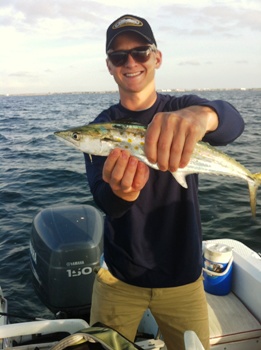 Spanish Mackerel