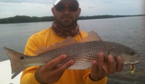 Redfish_Zeus1